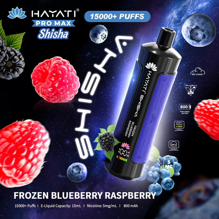 Hayati Shisha 15000 -   Grape & Mint